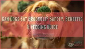 can dogs eat broccoli