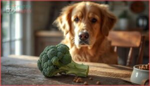 can dogs eat broccoli stems and leaves