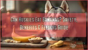 can huskies eat bananas