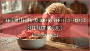 can poodles eat chicken can poodles eat chicken
