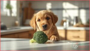 can puppies eat broccoli