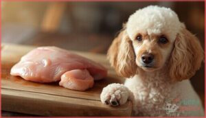 chicken allergies in poodles chicken allergies in poodles