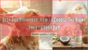 choosing the best dog shampoo choosing the best dog shampoo