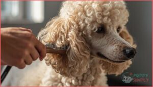 daily brushing techniques
