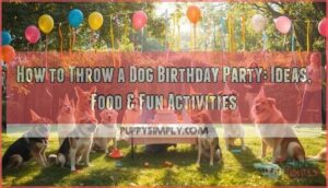 dog birthday celebration dog birthday celebration
