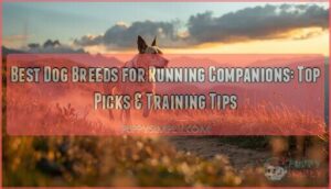 dog breeds that make good running companions dog breeds that make good running companions