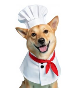 Dog Halloween Costumes, Cute Dog B0FMK37WX1