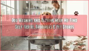 dog washing and bathing near me dog washing and bathing near me