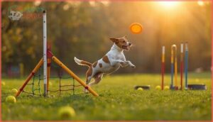 exercise and activity for calmer dogs exercise and activity for calmer dogs