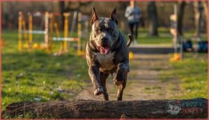 exercise and activity needs exercise and activity needs