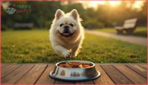 exercise and nutrition requirements exercise and nutrition requirements