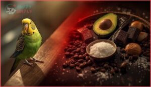 foods parakeets should never eat