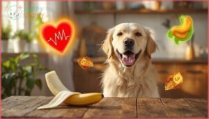 health benefits of bananas for dogs health benefits of bananas for dogs