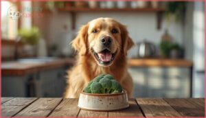 health benefits of broccoli for dogs