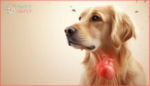 heartworms heartworms