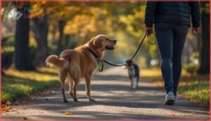 heel and loose-leash walking heel and loose-leash walking