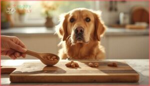 how much nut can dogs safely eat how much nut can dogs safely eat