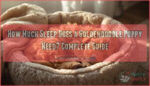 how much sleep does a goldendoodle puppy need