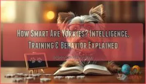 how smart are yorkies explained