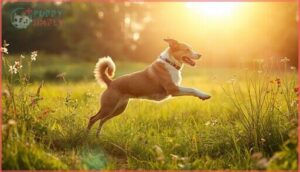 increased energy and overall wellness