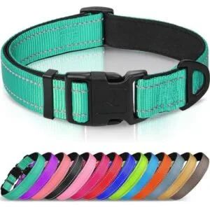 Joytale Reflective Dog Collar, Soft B08CK5Z5Q1