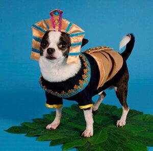 King MUTT Dog Costumes King B06Y2DFL5C