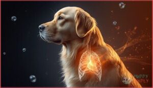 mediastinal lymphoma