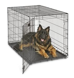 MidWest Homes for Pets 48 Inch B000OX89XI