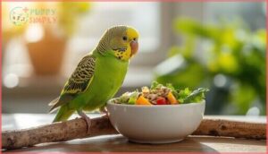 monitoring parakeet diet and health