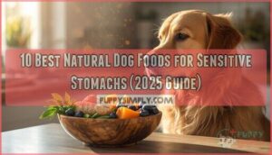 natural dog food for sensitive stomachs natural dog food for sensitive stomachs