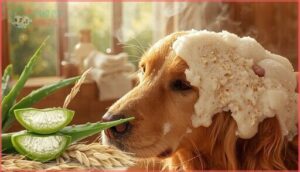 oatmeal and aloe vera oatmeal and aloe vera