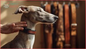 preventing collar slippage and discomfort