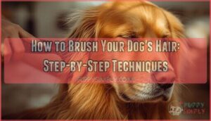 proper dog hair brushing techniques proper dog hair brushing techniques