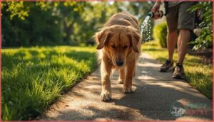 protecting paws and outdoor safety protecting paws and outdoor safety