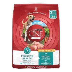 Purina One Plus Digestive Health B07QFB4FTP