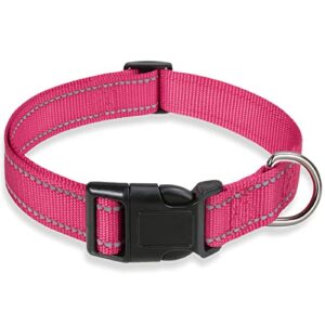 Reflective Dog Collar with Buckle B08NSMMQFH
