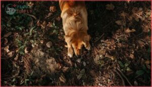 removing debris and hidden threats