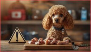 risks of feeding chicken to poodles risks of feeding chicken to poodles