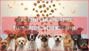 royal canin dog food
