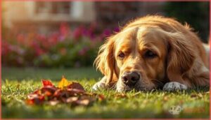 symptoms of plant poisoning in dogs