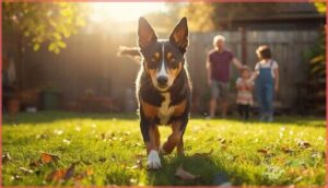 temperament and behavior traits