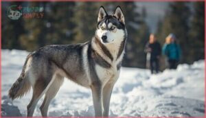 temperament and personality traits temperament and personality traits