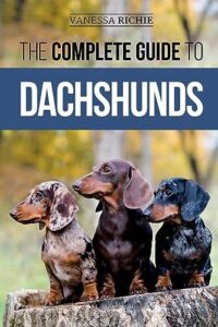 The Complete Guide to Dachshunds: 1952069688