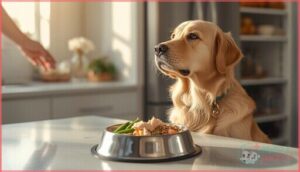 tips for keeping your dog’s diet safe