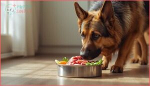 transitioning your german shepherd to raw food