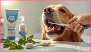 using dog-safe toothpaste and brushes using dog-safe toothpaste and brushes
