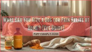 what can you give a dog for pain relief at home what can you give a dog for pain relief at home