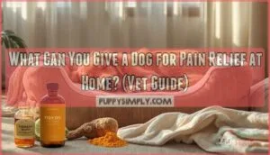 what can you give a dog for pain relief at home