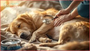 what is bladder cancer in dogs