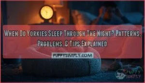 when do yorkies sleep through the night
